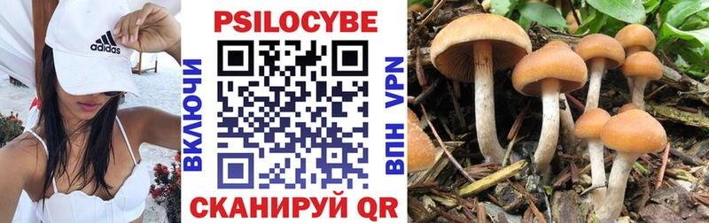 Псилоцибиновые грибы Psilocybe  Арамиль 