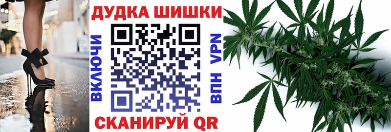 Шишки марихуана план  где купить наркоту  Арамиль 